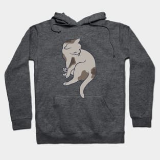 Keep it clean – this is all the cat mean (pose 2) Hoodie